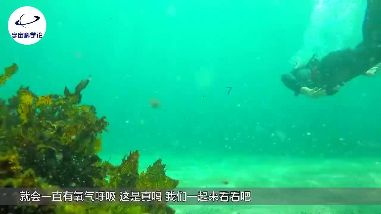 《幻兽帕鲁》翠叶鼠雕像献祭方法
